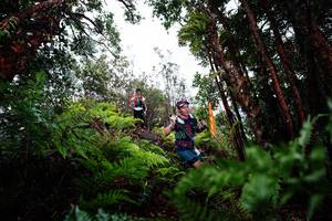 BIB: 
                            <button type="button" onclick="openModal(26204187)" class="btn btn-primary btn-sm float-right btn-popup" data-toggle="modal" data-target=".modal-high-quality">
                        <i class="fas fa-shopping-cart"></i> Add to Cart
                    </button>
                                            <button type="button" onclick="isThisMe(26204187, true)" class="btn btn-success btn-sm float-right btn-popup btn-isme hidden" data-toggle="tooltip" data-placement="bottom" title="นี่คือรูปของคุณใช่ไหม คลิกที่นี่เพื่อเอาเข้าอัลบั้ม">
                        <i class="fas fa-plus"></i> Add to album
                    </button>
                    <button type="button" onclick="isThisMe(26204187, false)" class="btn btn-warning btn-sm float-right btn-popup btn-isnotme hidden">
                        <i class="fas fa-ban"></i> Remove from album
                    </button>